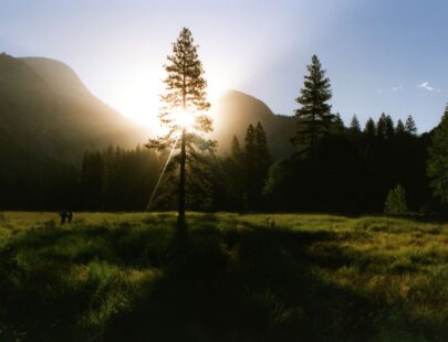 Five Evergreen Strategies for Employee Engagement in the Future Workplace