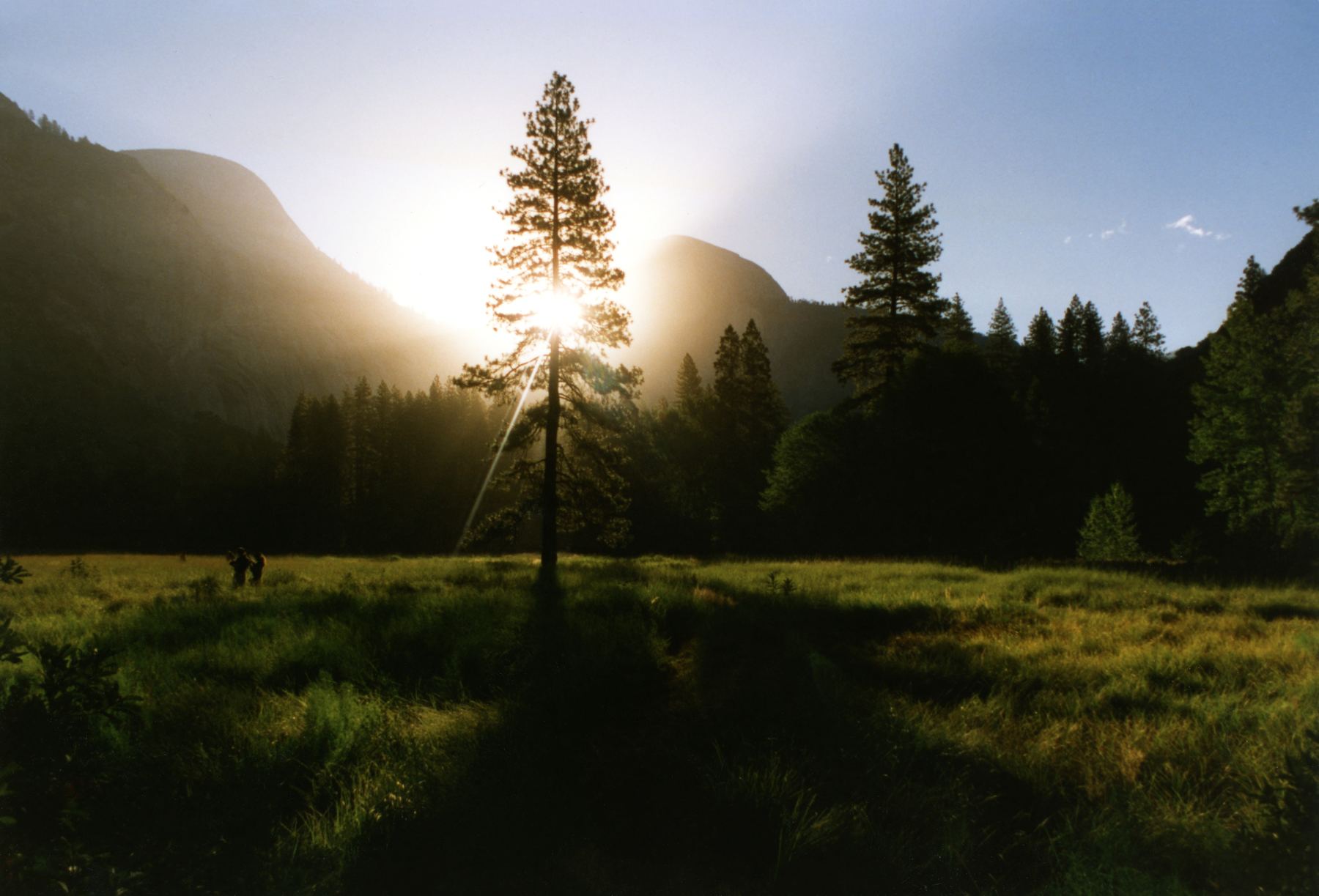 Five Evergreen Strategies for Employee Engagement in the Future Workplace