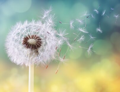 4 Types of Mindsets That Can Help Leaders to Succeed 