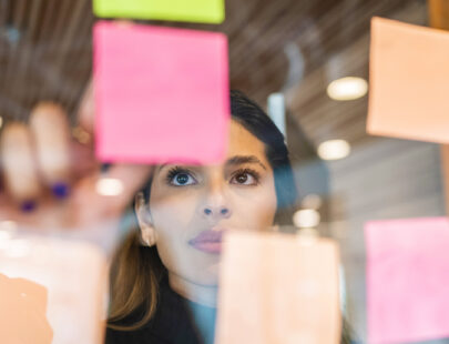 Using Vision to Drive Program Success