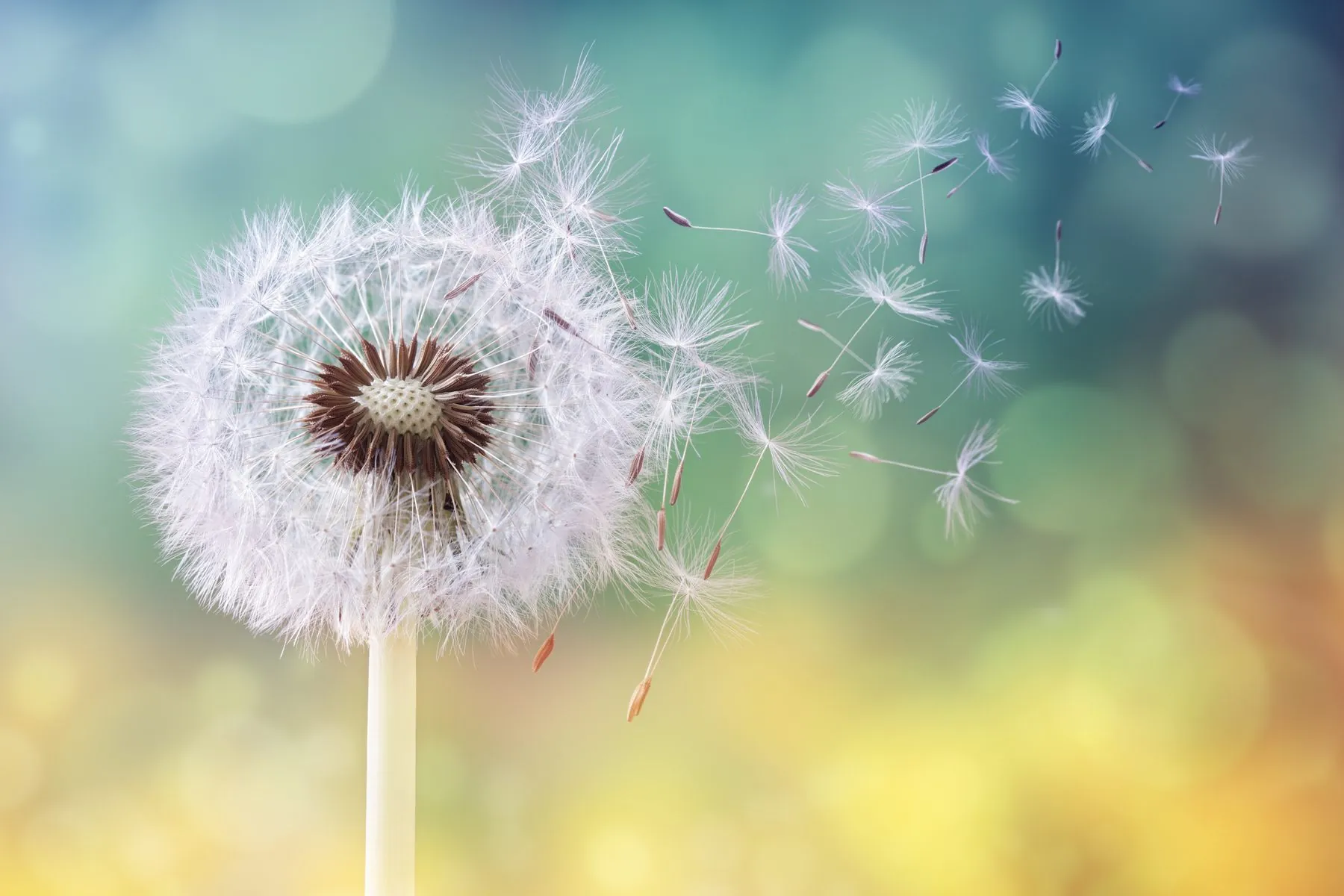 4 Types of Mindsets That Can Help Leaders to Succeed 